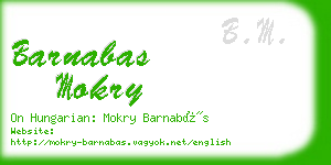 barnabas mokry business card